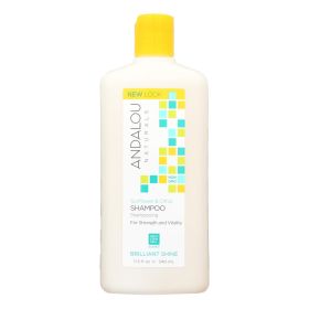 Andalou Naturals Brilliant Shine Shampoo with Sunflower and Citrus, 11.5 Fl Oz